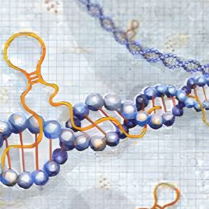 Prof Kiran Kumar lecture on long non-coding RNAs and oral cancer biomarkers