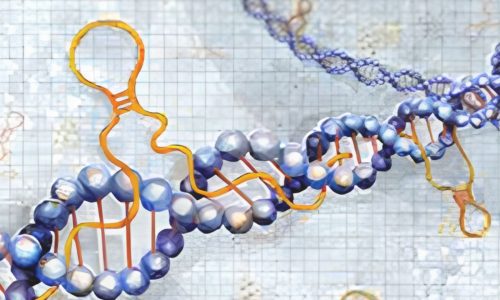 Prof Kiran Kumar lecture on long non-coding RNAs and oral cancer biomarkers