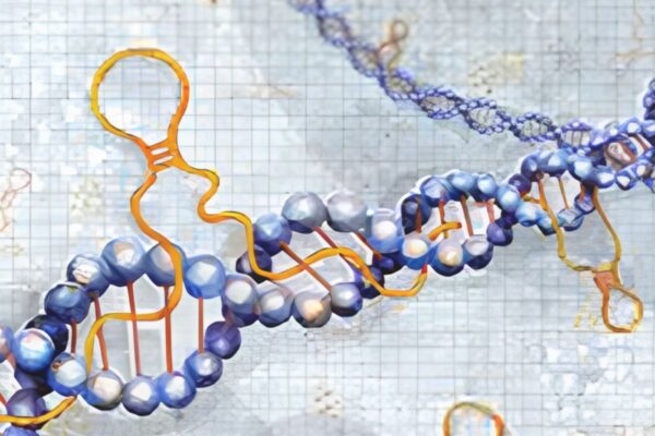 Prof Kiran Kumar lecture on long non-coding RNAs and oral cancer biomarkers